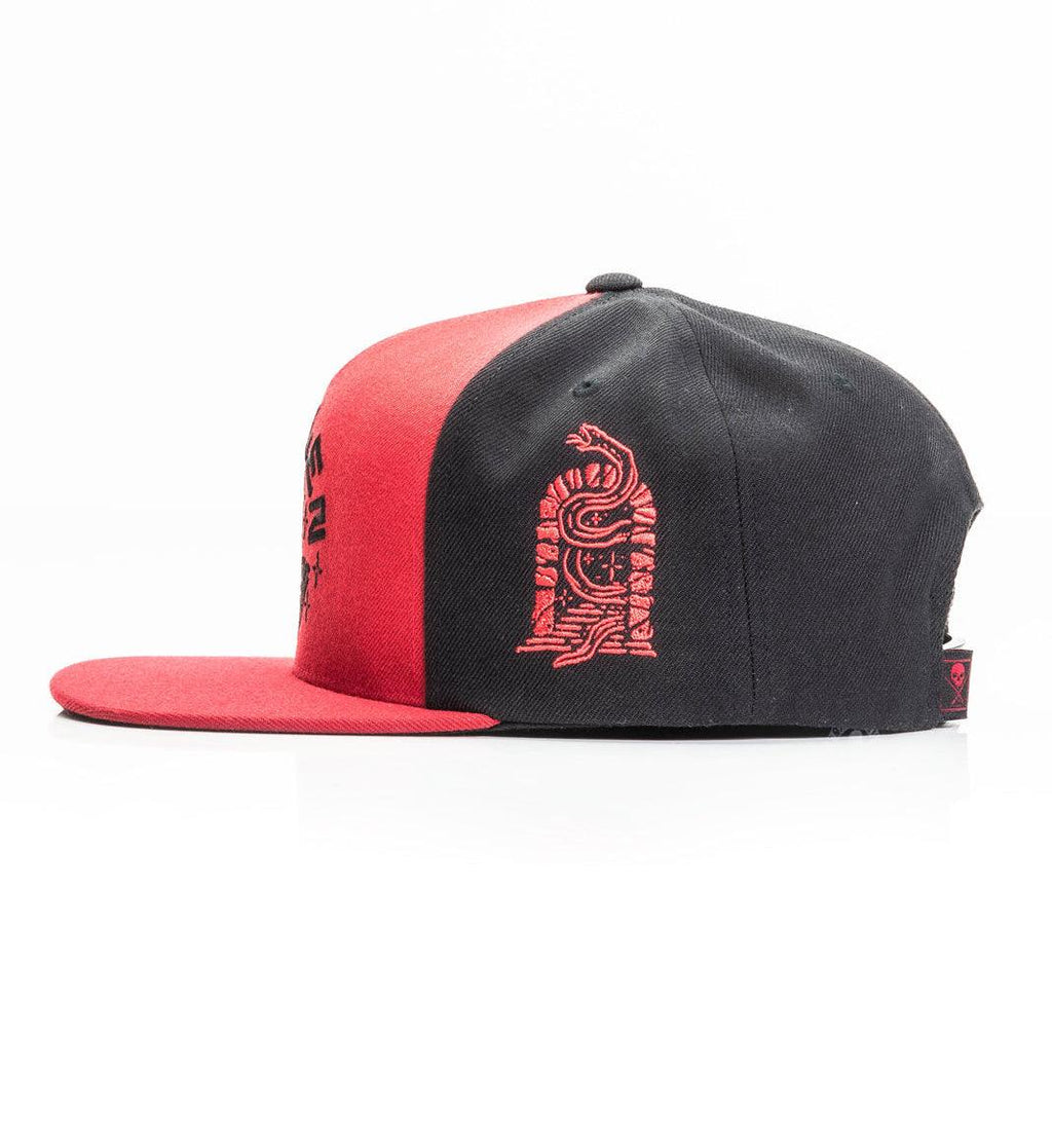 Afterlife Snapback